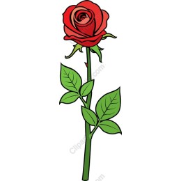 Red Rose - Elegant Floral