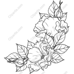 Floral Elegance