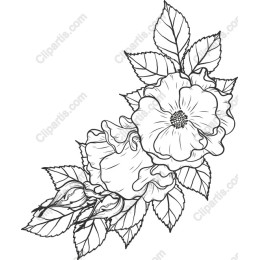 Delicate Floral in Black and White