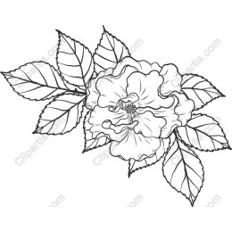 Elegant Hand-Drawn Floral