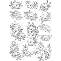 Elegant Floral Bundle - 15 Hand-Drawn