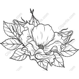 Elegant Floral