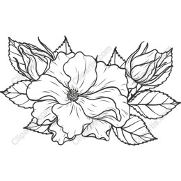 Elegant Floral