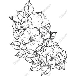 Elegant Floral work