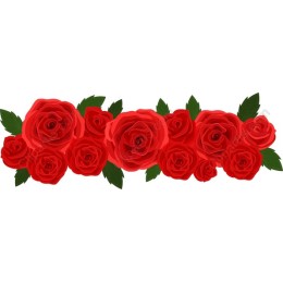 Elegant Red Roses
