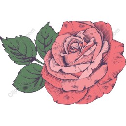 Vintage Floral Rose