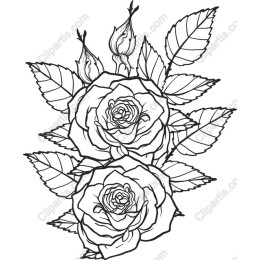 Intricate Rose