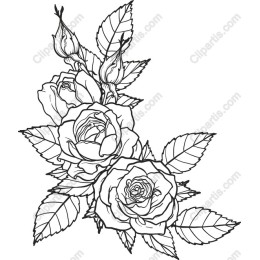 Floral Bouquet - Intricate Rose