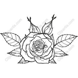 Elegant Rose Line Art