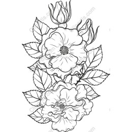 Elegant Floral