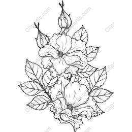 Elegant Floral