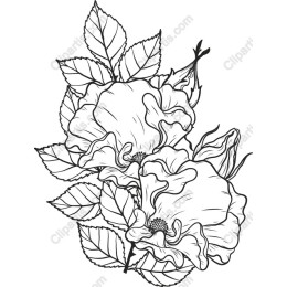 Elegant Rose Floral