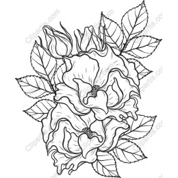 Elegant Floral