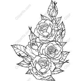 Rose Bouquet