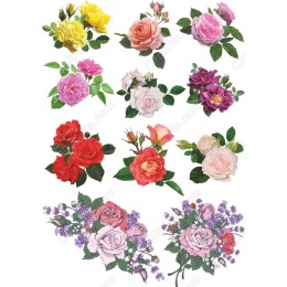 Floral Bundle - 12 Stunning Rose