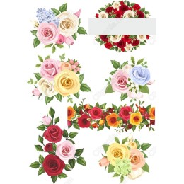 Floral Set - Elegant Rose Collection