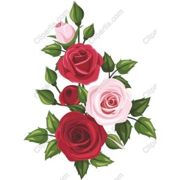 Elegant Rose Bouquet