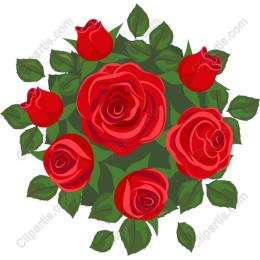 Elegant Red Roses