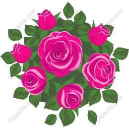 Elegant Pink Rose Bouquet