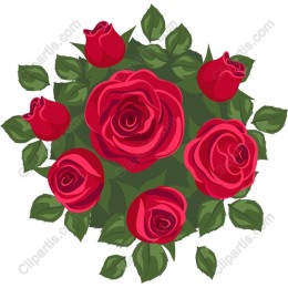 Elegant Red Roses