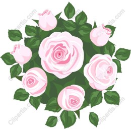 Pink Roses Floral