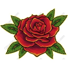 Elegant Red Rose