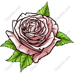 Elegant Rose