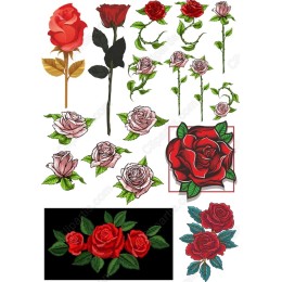 Elegant Rose Collection - Bundle