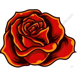 Vibrant Red Rose
