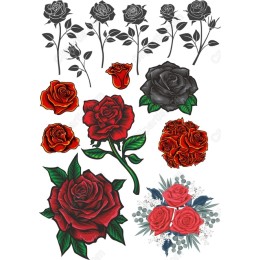 Rose Set - Floral