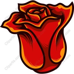 Red Rose