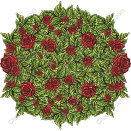 Flourishing Rose Garden