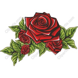 Vibrant Red Roses