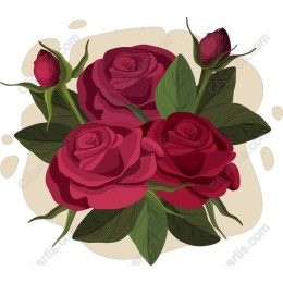 Elegant Red Roses