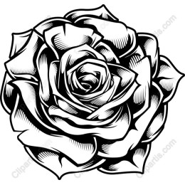 Elegant Monochrome Rose