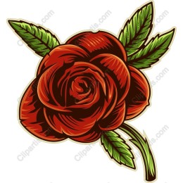 Elegant Rose