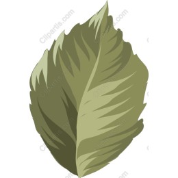 Green Leaf