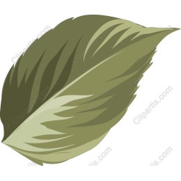 Green Leaf