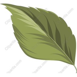 Green Leaf