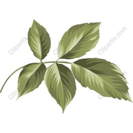 Elegant Leaf Cluster