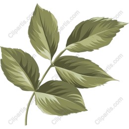 Green Leaf