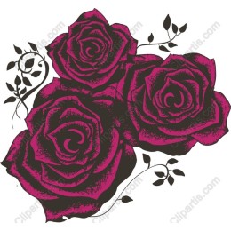Elegance in Bloom: Three-Rose