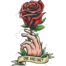 One and Only Rose