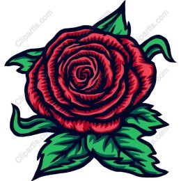Stunning Vintage Rose