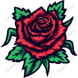 Elegant Rose
