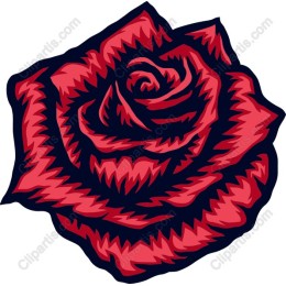 Vibrant Red Rose