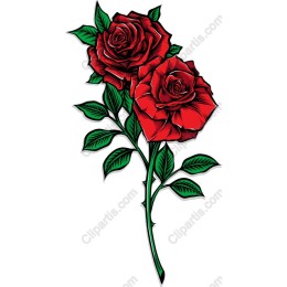 Elegant Red Roses