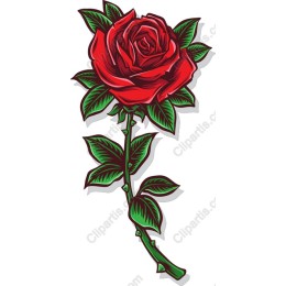 Red Rose - Elegant Floral