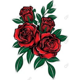 Elegant Red Roses