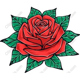 Vibrant Red Rose